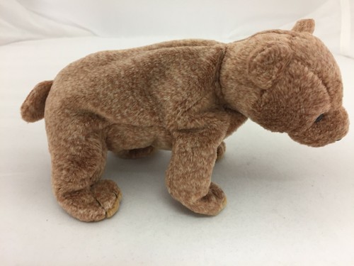 TY Beanie Baby - 1999 Pecan Brown Bear - neuwertig mit neuwertigem Etikett - Bild 4 von 11