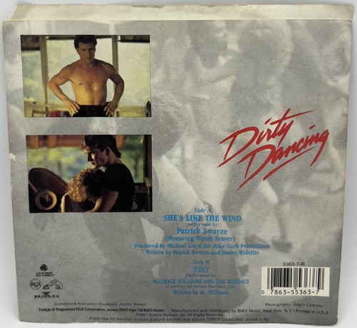 TESTED RCA ‘She’s Like The Wind/Stay’ by Patrick Swayze 45 Record w. Sleeve - Imagen 17 de 18