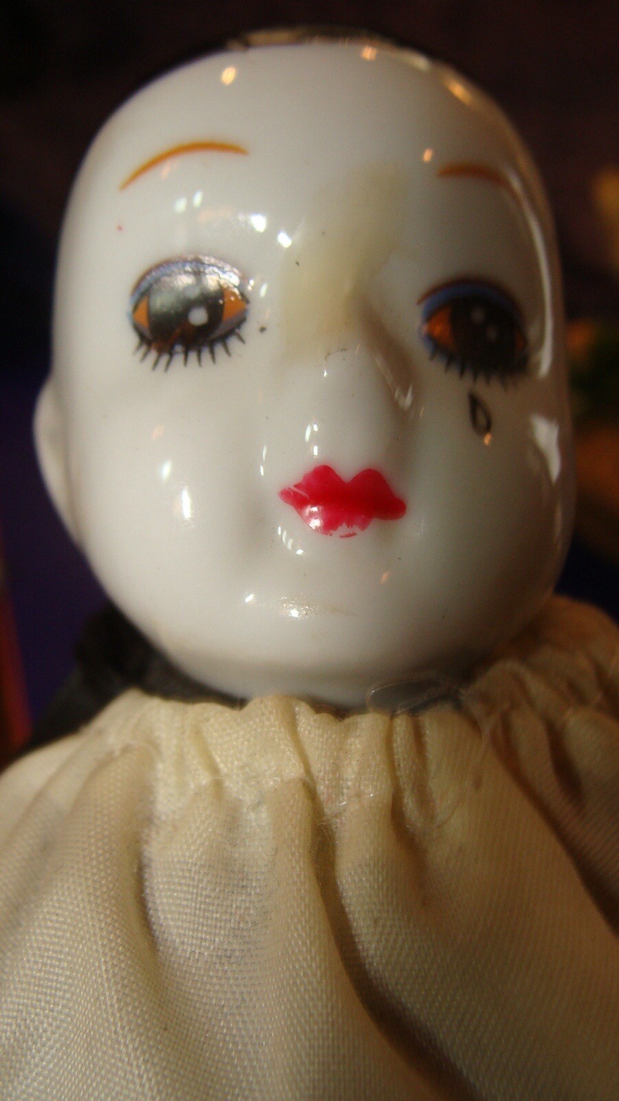 Bild 5 von 5