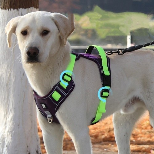 Comoda Imbracatura Antistrappo per Cani Gilet Riflettente per Animali Domestici Passeggiate Quotidiane - Foto 3 di 16