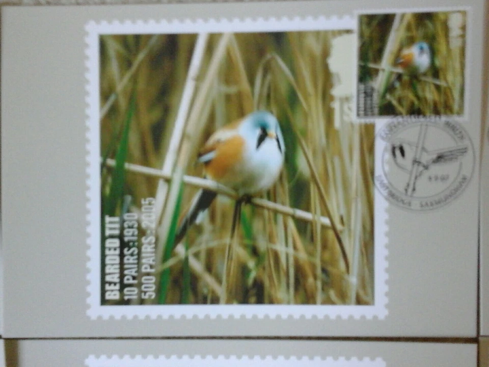 2007 BIRDS PHQ 302 -10 STAMP CARDS FDI FRONT PICT H/S DESCRIBED BELOW  - Image 3 of 4
