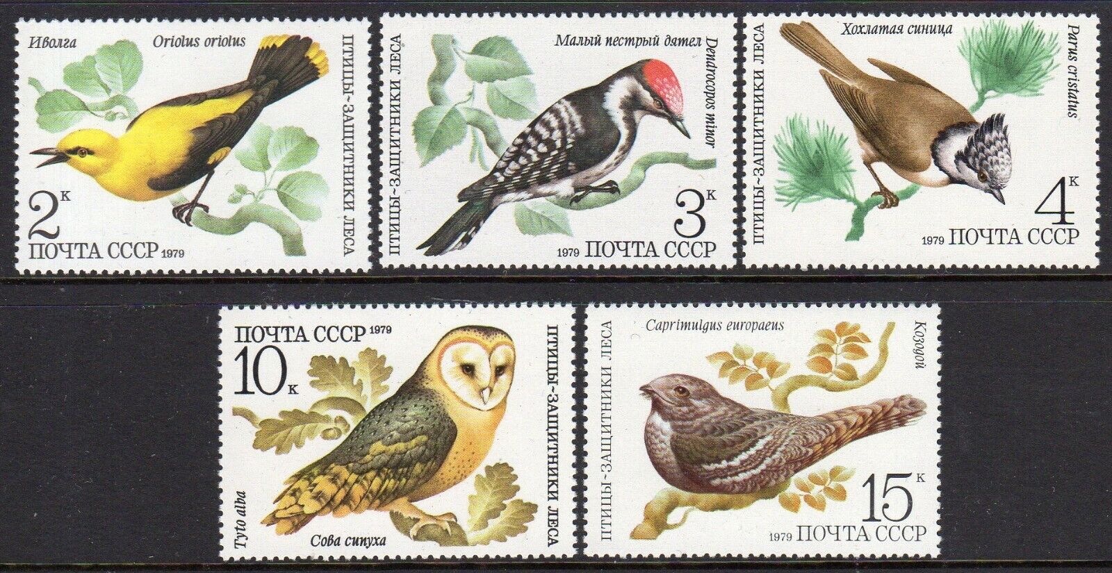 Birds - Russia 1979 set fine fresh MNH