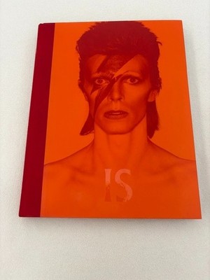 ''David Bowie Is Inside'' -   Visionary World of David Bowie