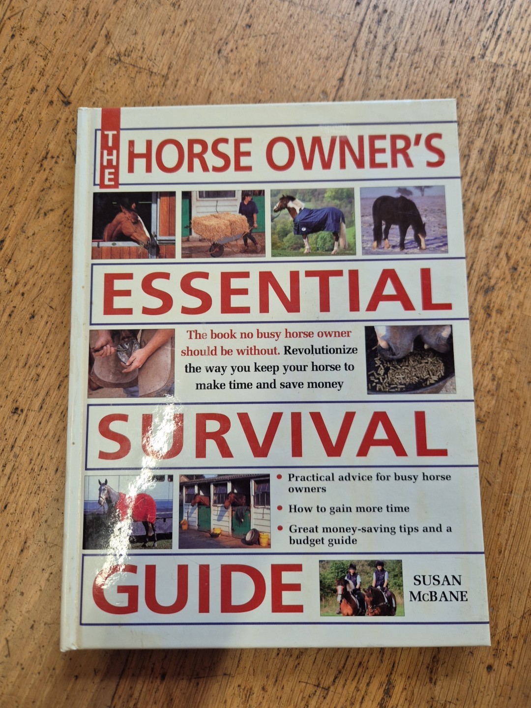 The Horse Owner's Essential Survival Guide Horses Horse Care Stable Management