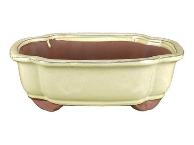Ovale Bonsaischale (Mokko-Form) aus weiß glasiertem Steingut 23x18,5x6,5 cm - GA