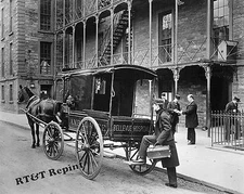 Horse Drawn  Bellevue Hospital Ambulance New York 1895  8x10 Photo