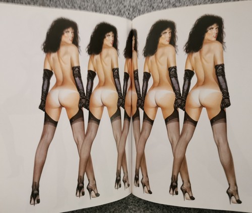 Illustriertes Taschenbuch Hajime Sorayama - Bild 13 von 13