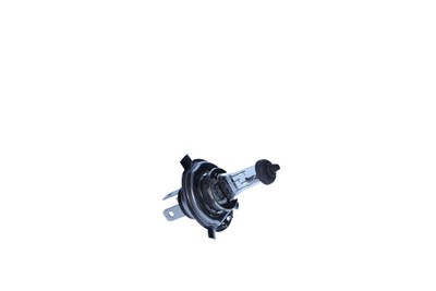REINE GLÜHBIRNE HS1 12V 35W KARTON
