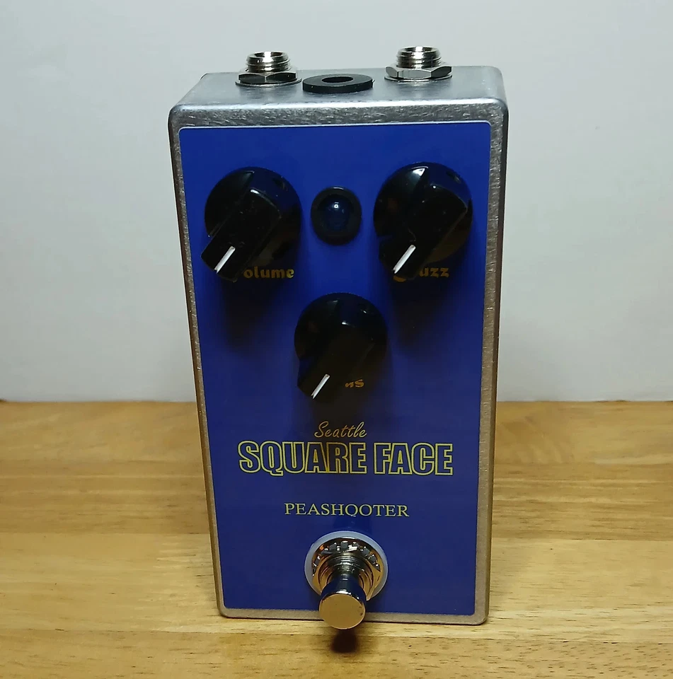 Seattle Square Face - #004 - Nuevo de Lote Antiguo Pedal Facial de Pelusa de Silicona con Sol Limpio y Sesgado Foto 2 de 4