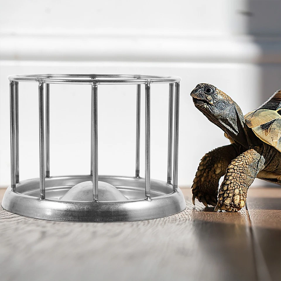 Distributeur De Nourriture Pour Tortue Plat Bols D'animaux En Acier Inoxydable - Photo 2/4