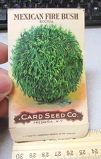 Vintage EMPTY seed pack, early 1900s Mexican Fire Bush, Card Seed co Fredonia NY