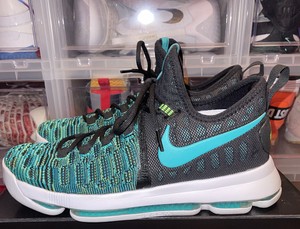 kd 9 birds of paradise