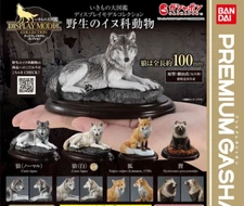 Wild Canine Animals Figure Bandai Creature Encyclopedia Display Model Collection