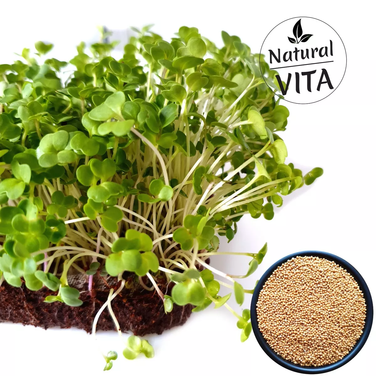 Organic Cress seeds for Sprouts