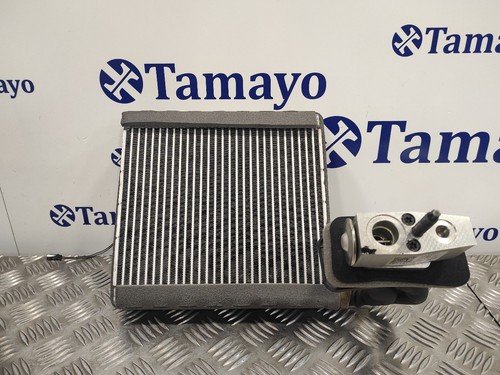 VPGV6119840AA VERDAMPFER DER KLIMAANLAGE / H1F119849AA / 1058394 FÜR FORD TRANSI