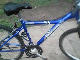 mountain bikes for sale gumtree