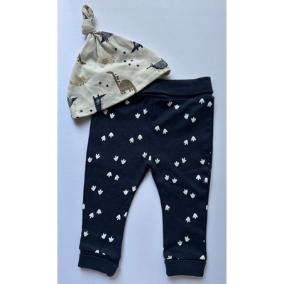 Petit Lem's Mini Threads Baby Dinosaur Print 2pc Organic Cotton Set Size 9mo