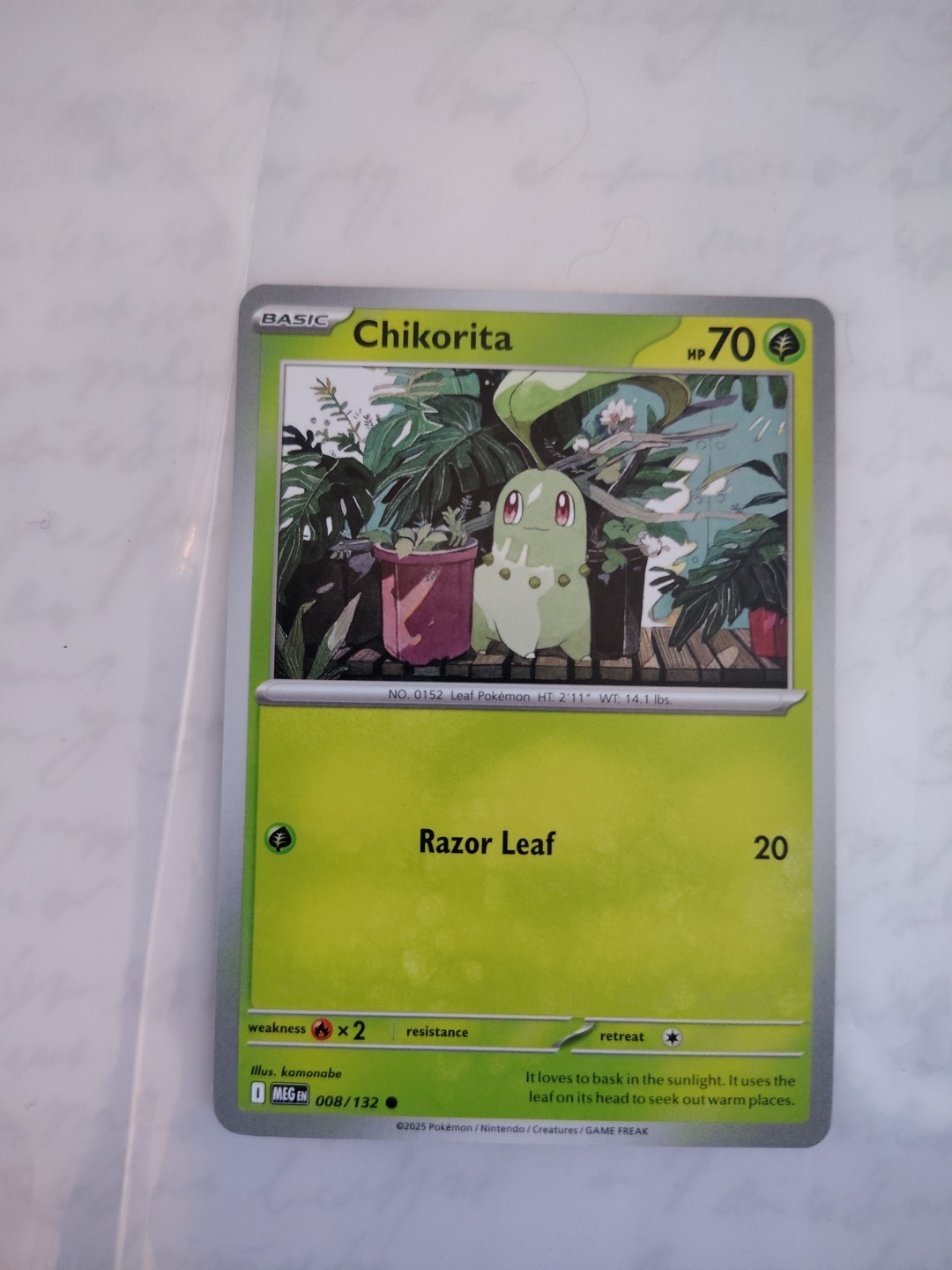 Chikorita - 008/132: Mega Evolution Near Mint