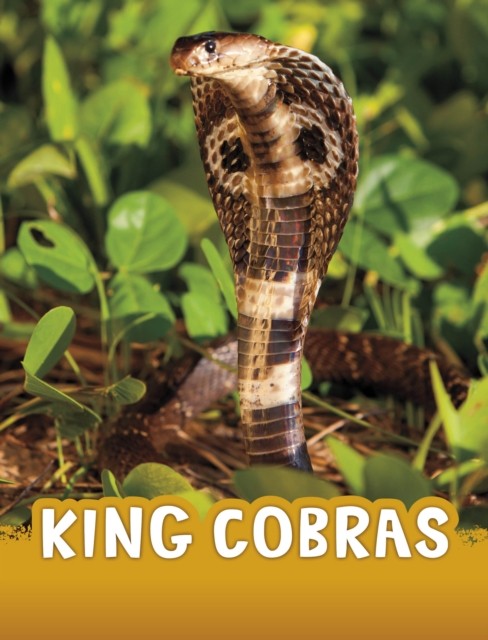 King Cobras by Jaclyn Jaycox PAPERBACK 9781398244009