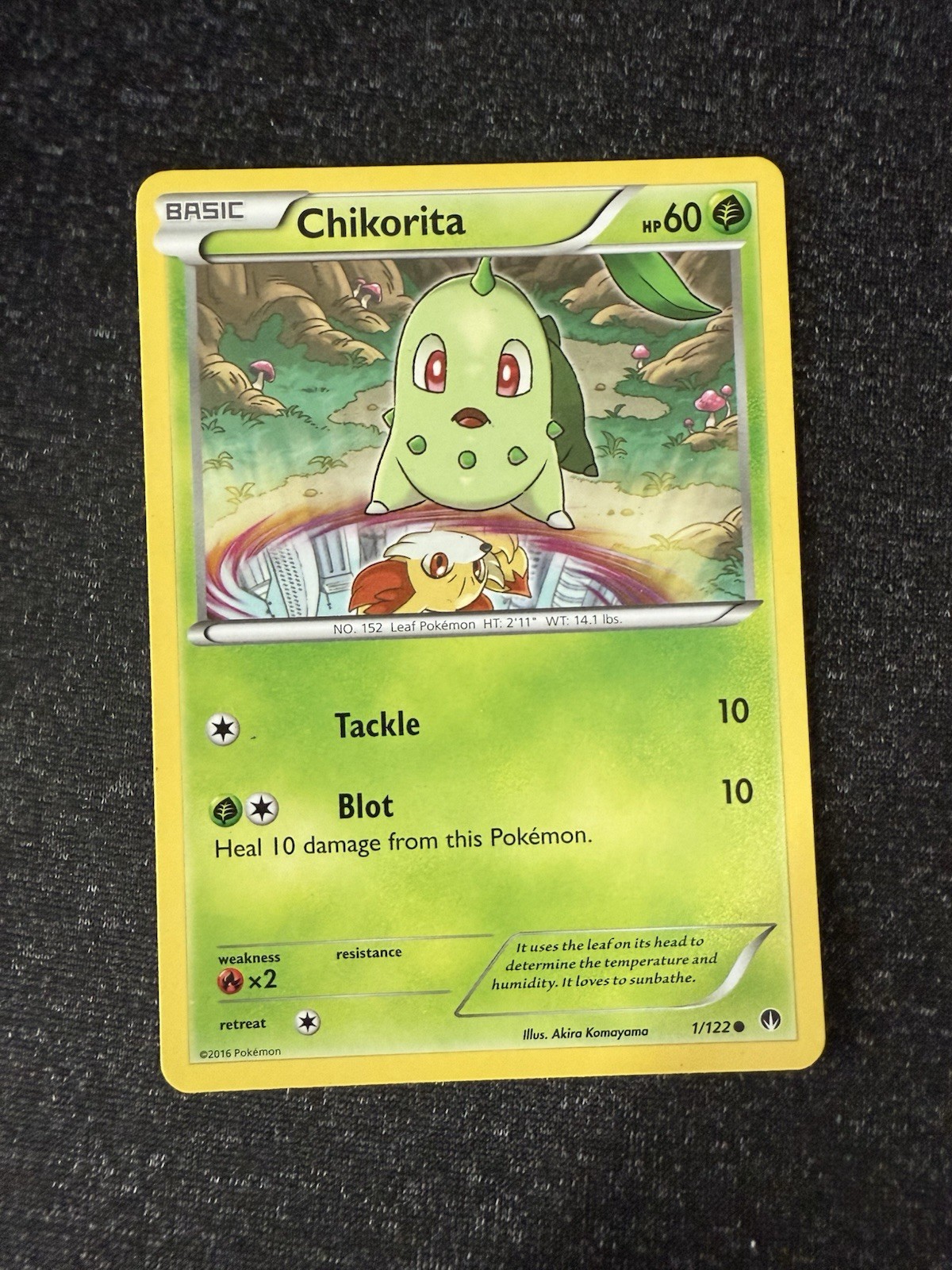 Chikorita 1/122- BREAKpoint- Regular Common- LP