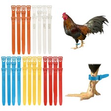 50-Pack Adjustable Chickens Leg Bands, 10-28 mm Plastic Leg Ring Multicolor