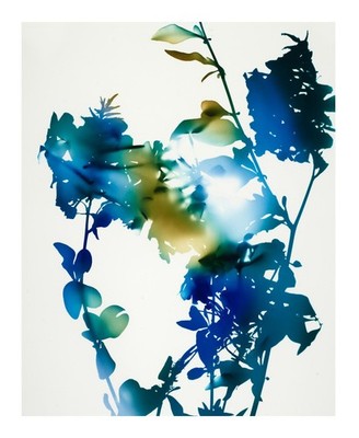 ジェームス・ウェリング 写真集　JAMES WELLING FLOWERS s-l400.jpg