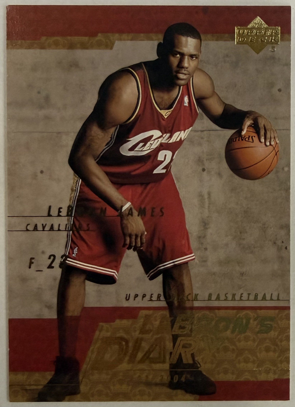 2003-04 Upper Deck Lebron's Diary LeBron James #LJ13 Rookie RC