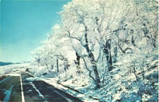 North Carolina Midwinter on the Blue Ridge Parkway Vintage Postcard