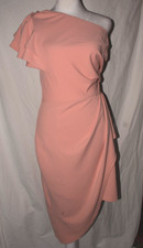 BTFBM Womens Small Blush Pink One Shoulder Ruffle Sleeve Ruched Midi Dress NWT