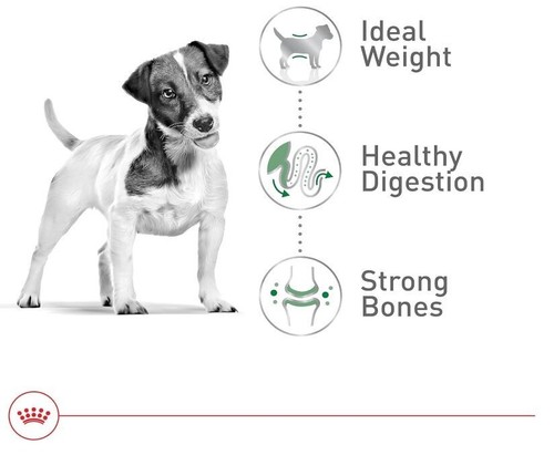 Royal Canin Size Health Nutrition Small Adult Dry Dog Food, 14 lb bag - Picture 4 of 11