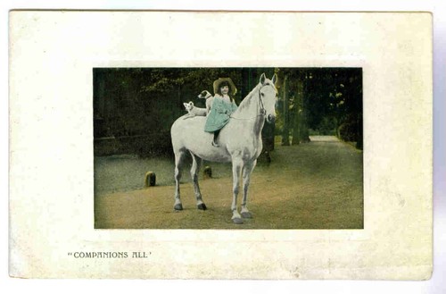 Weißes Pferd mit hübschem kleinen Mädchen & ihren zwei Hunden zu Pferd, RPPC, um 1910