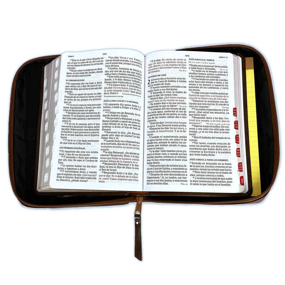 Biblia Letra Grande con Forro Organizador Indice RV1960 cafe My Organizer Bible - Image 3 of 4