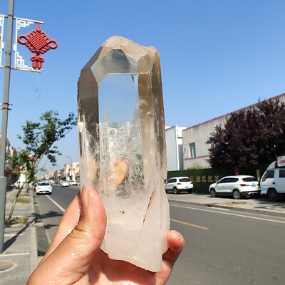 740g 6.49'' Bright LEMURIAN Healer Quartz Crystal RECORD KEEPER Dazzling T103