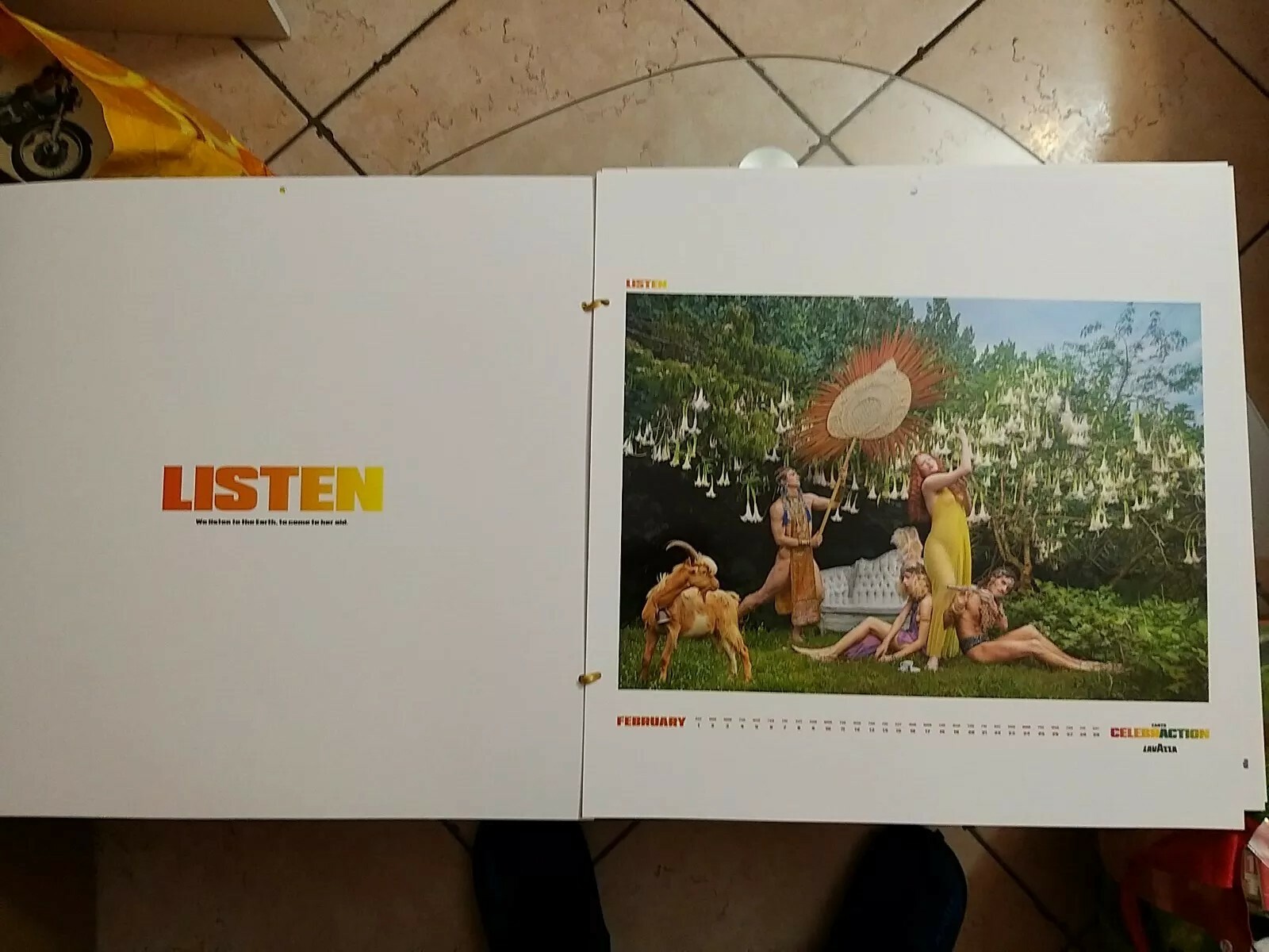 Picture 3 of 12