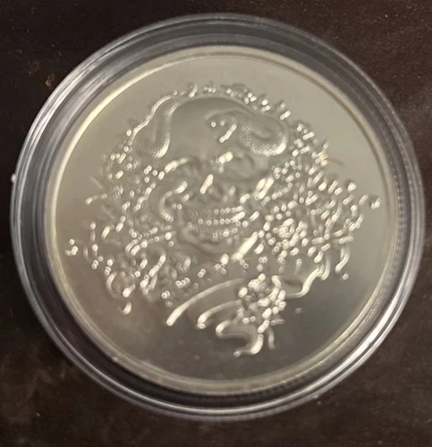 AMDR FATI Silver 1 oz Round BU .999 (In Capsule) - Intaglio Mint