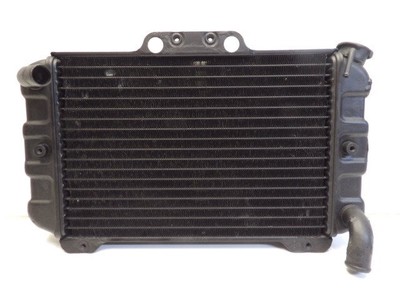 Suzuki Overige Suzuki 1960-2021 Radiator (Radiator) 201612541