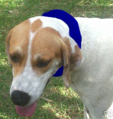 POLAR COLLAR COOL PET FOR DOGS *PERFECT FOR HOT DAYS* - Picture 2 of 2