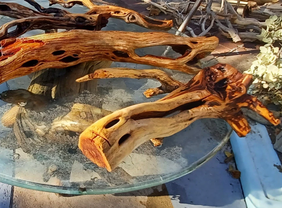 Set Of 4 For The Price Of 1 Large Driftwood Manzanita Beutiful  - Image 3 of 4