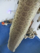 rattlesnake skin prairie rattle snake hide DRY TANNED wrap pen blanks 41 in. K5