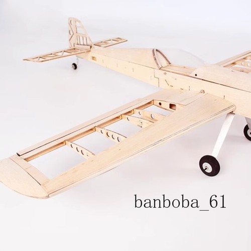 Model Fixed Wing Light Wood Aircraft Nesting Oil Electric Exercise Machine - Picture 2 of 11