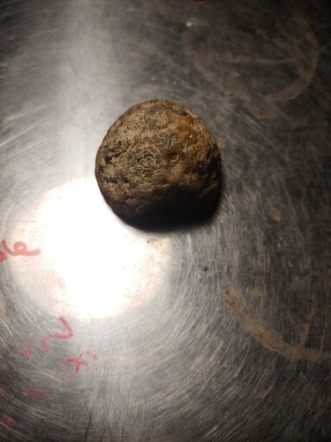 Geode Half Mexico Polished - Picture 6 of 14