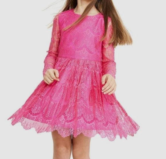 pink lace dress size 16 Abby Rose 3405 Size 16 Pink Plus Size Sheer Lace Short Homecoming Dress Flared Formal Cocktail Gown