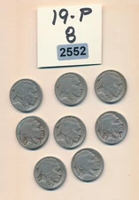 BUFFALO NICKELS -  1919  - 8 COINS - #2552 - WOW