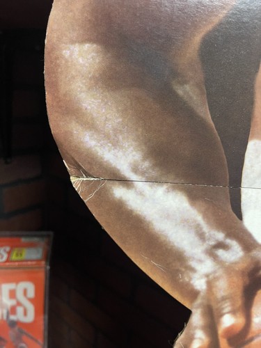 RARE 1996 MICHAEL JORDAN UPPER DECK LIFE-SIZE CARDBOARD STANDUP STANDEE GOAT - Picture 2 of 5