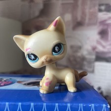 Littlest Pet Shop Authentic Shorthair Cat #816