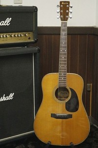Morris Gitarre | eBay