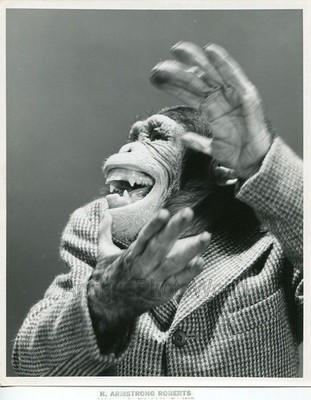 Applaudierender Zirkus Schimpanse Affe Vintage Kunst Foto von Armstrong Roberts