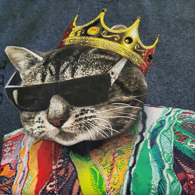 Notorious (BIGGIE) Cat Everyday Struggle Graphic T SIze M/Gray 