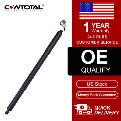 Rear Tailgate Electric Power Lift Support Strut Shock for Lincoln MKX Ford Edge