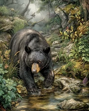 8x10 Wildlife Art Print - 202964339